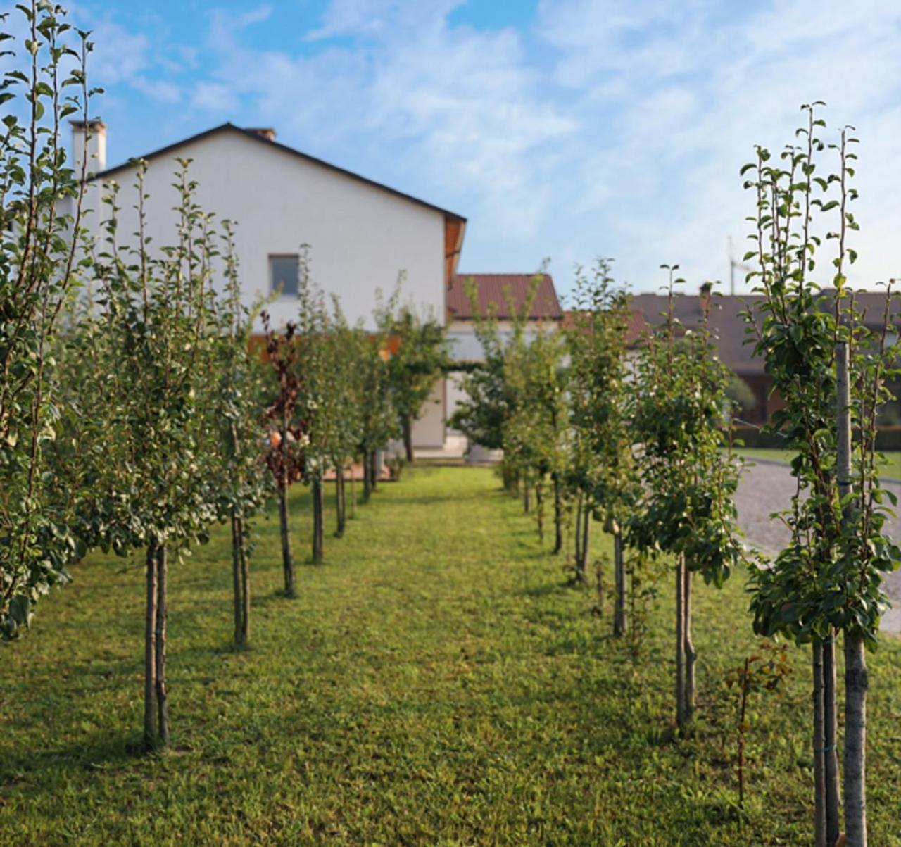 Agriturismo Corte Foscara Villa Malcontenta Exteriör bild